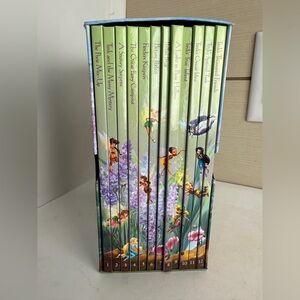 Disney Fairies Storybook Library - Vibrant Fairy Collection